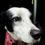 Jackson Garrison - @jacksonsgarrison - Instagram