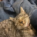 Jackson Gerberg - @jackson.gerberg - Instagram
