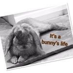 Jackson Grimes - @jackson_itsabunnysworld - Instagram