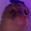 Jackson Grosse - @jackson.grosse - TikTok