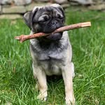 Jackson Haas Silva - @jackson_ace_reinke - Instagram