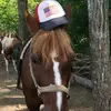 cowboyhorsesman2020 - @jacksonhankins4 - TikTok