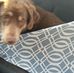 Jackson Harrison - Facebook