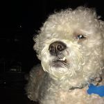 Jackson Hatfield - @jacksonhatfield1012 - Instagram