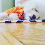 JACKSON HATFIELD - @jackson.hatfield - Instagram