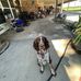 Jackson Hebert - Facebook