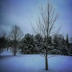 Jackson Helms - @jacksonh_photography - Instagram