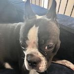 Jackson Hildebrand - @jackhilde12 - Instagram