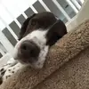 jacksonhildebrandt53 - @birdock - TikTok