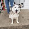 Jackson Hines - @jackson.hines97 - TikTok
