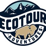 Jackson Hole EcoTours - @jacksonholeecotours - Instagram