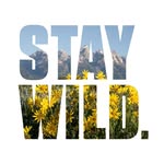 Jackson Hole, Wyoming - @visitjacksonhole - Instagram