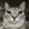 Jackson 🔹️ - @jackson.hobbs_24 - TikTok