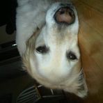 Jackson Hobbs - Facebook