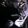 Jackson Hood - @jackson.hood4 - TikTok