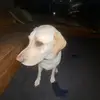 jackson hopper - @jackson.h21 - TikTok