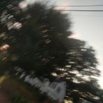 Jackson Howe - Facebook