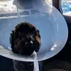 Jackson.h - @jackson.hulme - TikTok