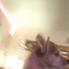 Jackson Jobe - @jackson.jobe3 - TikTok