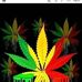 Jackson Jocker - Facebook