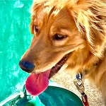Jackson Karp - @jackson.jack.jackie - Instagram