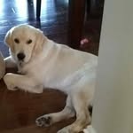 Jackson karpinecz - @jacksonkarpinecz - Instagram