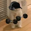 jacksonskarp - @jacksonskarp - TikTok