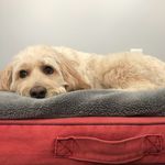 Jackson - @jackson.keane - Instagram