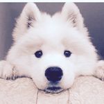 Jackson Keane - @jkeane_9 - Instagram