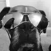 Jackson Kent - @jkent22 - TikTok