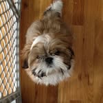 @jackson_kessler - Instagram