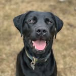 Jackson Kessler - @jaxgaming1234 - Instagram