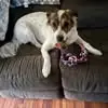 jacksonkessler16 - @jackson.kessler4 - TikTok