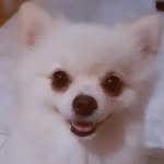 Jack - @jackson_khang - Instagram