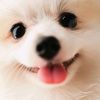Jackson - @jackson.khan1 - TikTok