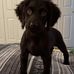 Jackson Kirby - Facebook