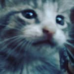 jackson kline - @jacksonkline1234 - Instagram