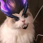 Jake Side - @jackson.kline.1291 - Instagram