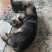 Jack Knepper - Facebook