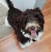 Kooper Jaxon - Facebook