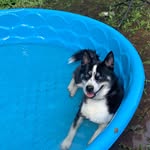 Jackson - @jacksonkriegeryt - Instagram