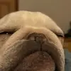 Jackson Krieger - @jackson.krieger - TikTok