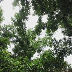 @lain_jackson - Instagram