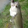 jackson_larkin_ - @jackson_larkin_ - TikTok