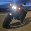 Jackson Larsen - @jdogoo - TikTok