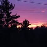 Jackson Larson - @jacksonlarson940 - Instagram