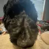 Jackson Pruitt - @jackson.larson - TikTok