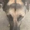 jacksonlarson70 - @jacksonlarson70 - TikTok