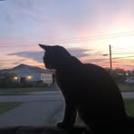 Jackson Leblanc - Facebook