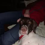 Lemaster Jackson - @jackson_lemaster1 - Instagram